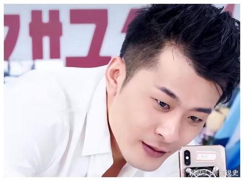 网红辛巴黑料,揭秘网红背后的真相