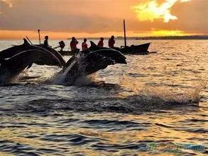 黑料网 巴厘岛,揭开这座热带天堂背后的真相