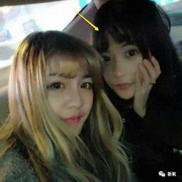 网红我不是向然黑料,真相与争议并存