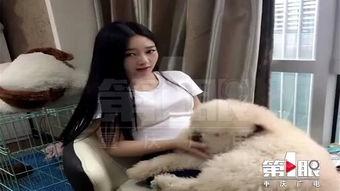网红狗子张悦黑料