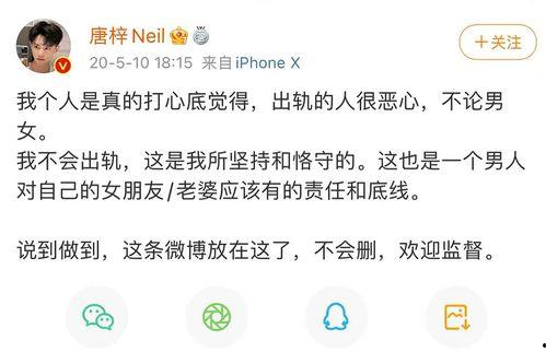 网红黑料在线爆料,在线爆料背后的真相与争议