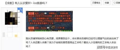黑料网yp82cc,揭秘网络黑料的真实面目
