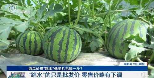 往期热点热门大瓜黑料网